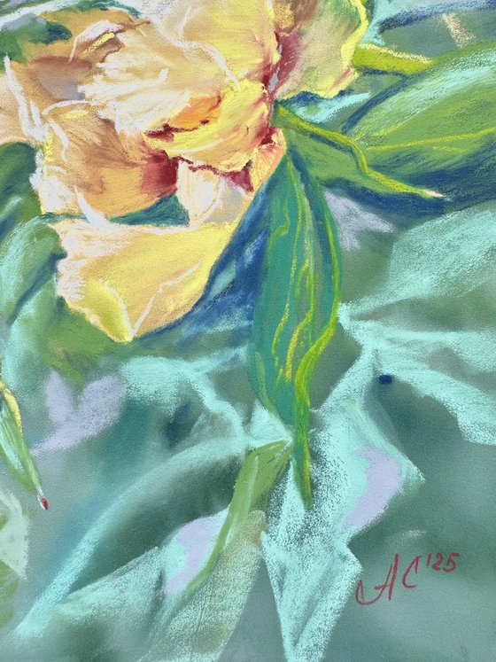 Floral: Yellow Peony
