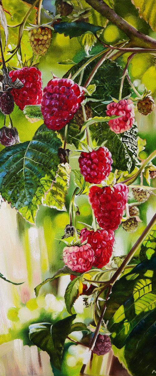 Ripe Raspberries on Branch by Natalia Shaykina