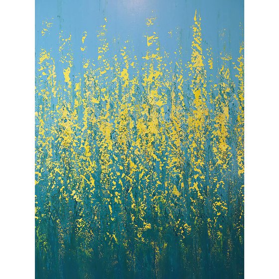 Spring Blooms - Flower Field