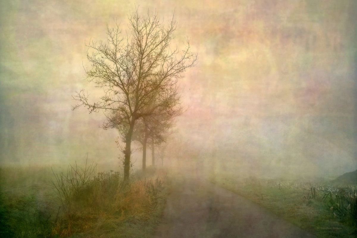 Blurred - Canvas 75 x 50 cm by Sandra Roeken