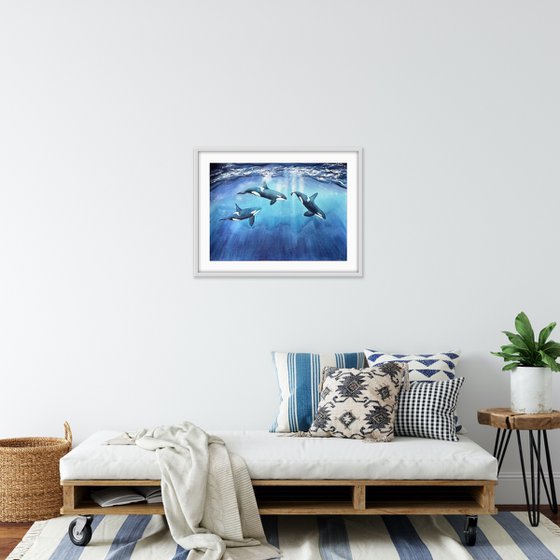 Killer whales underwater. Original artwork.