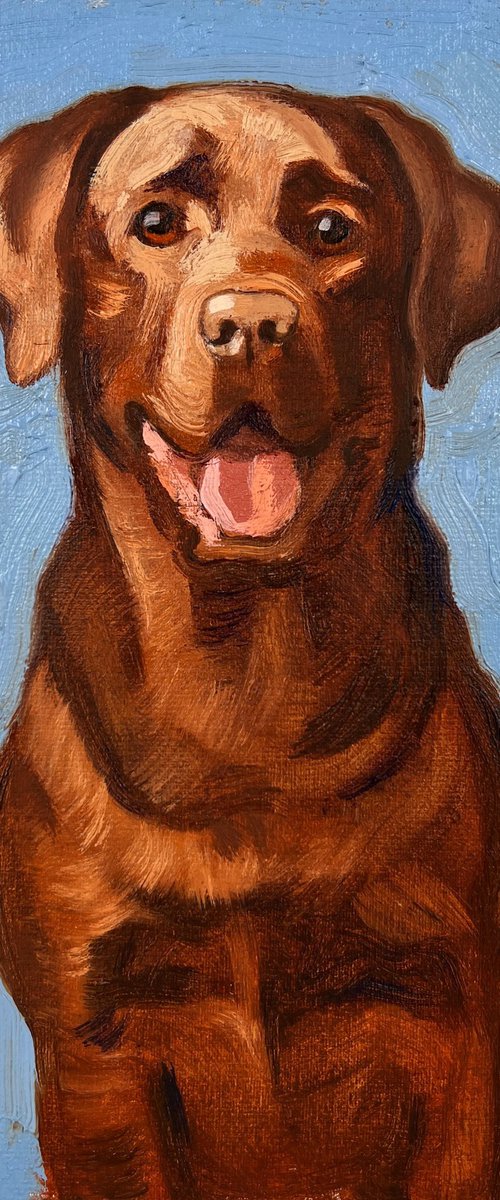 Chocolate Labrador by Elina Arbidane