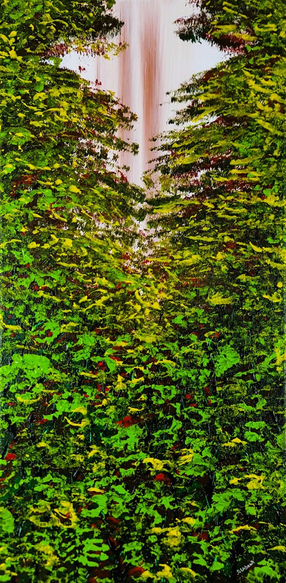 Nice Forest 1