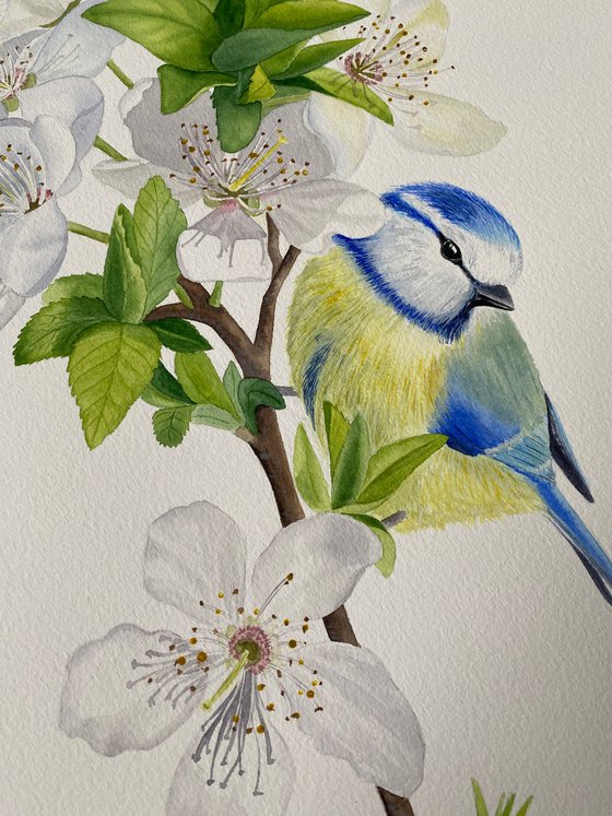 Bird on the branch