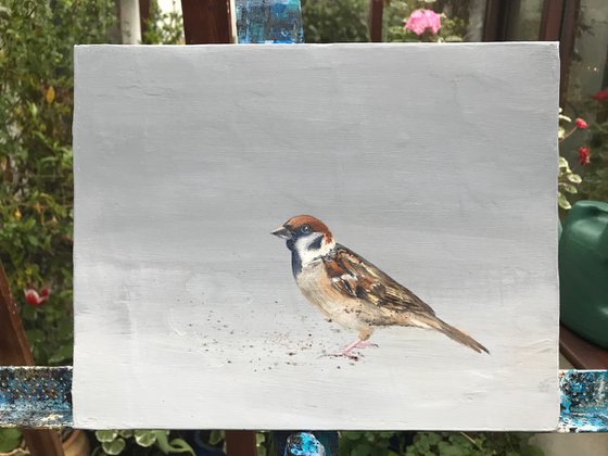 Sparrow II