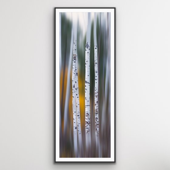 Aspen Impressions #3 - FRAMED - Limited Edition