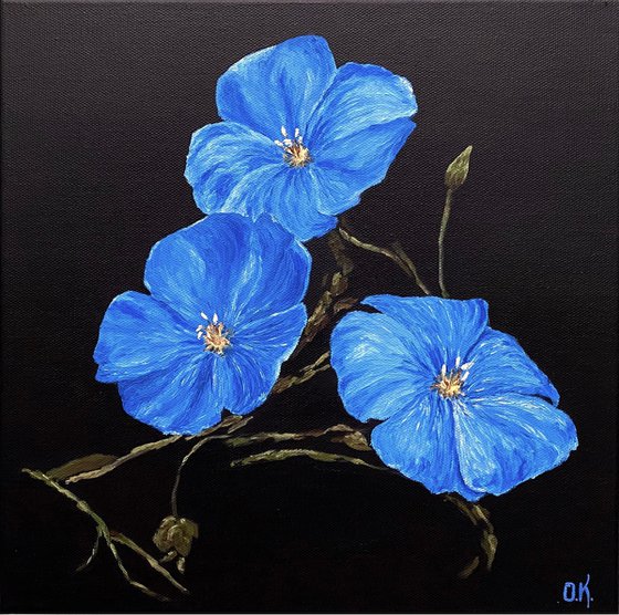 Blue flowers