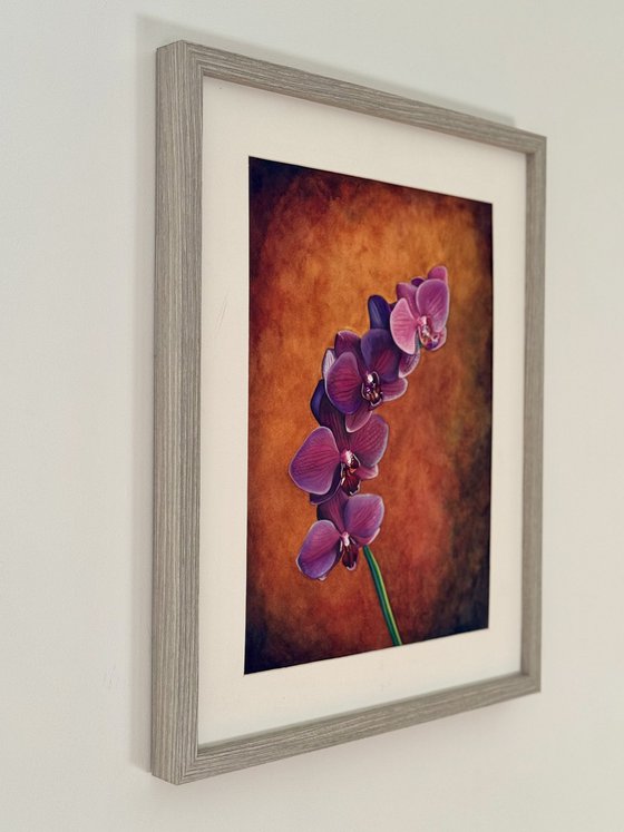 Purple Sensation Orchid Mixed Media Painting