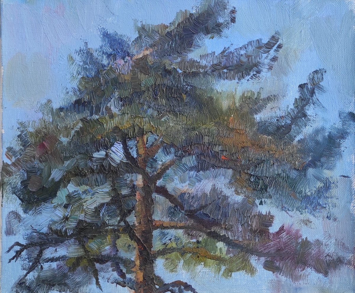 Pine by Natasha Voronchikhina