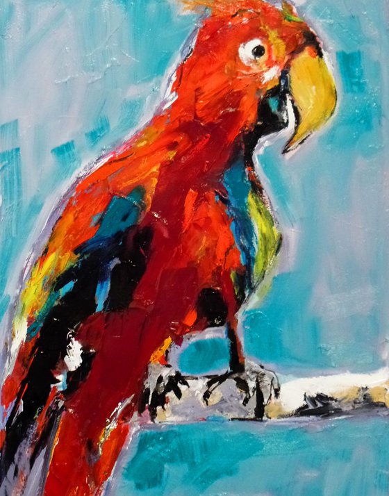 Birds of Paradise - Red Parrot