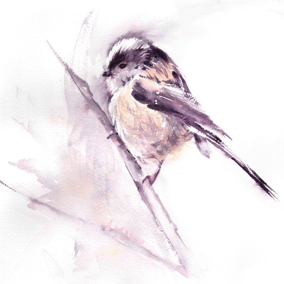 Long tailed tit painting, Long tailed tit in watercolour, Original Watercolour Bird painting