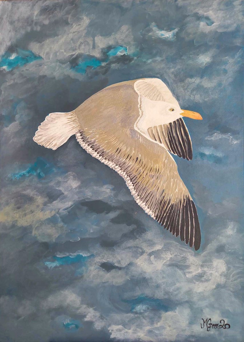 Soaring Seagull by Monica Green