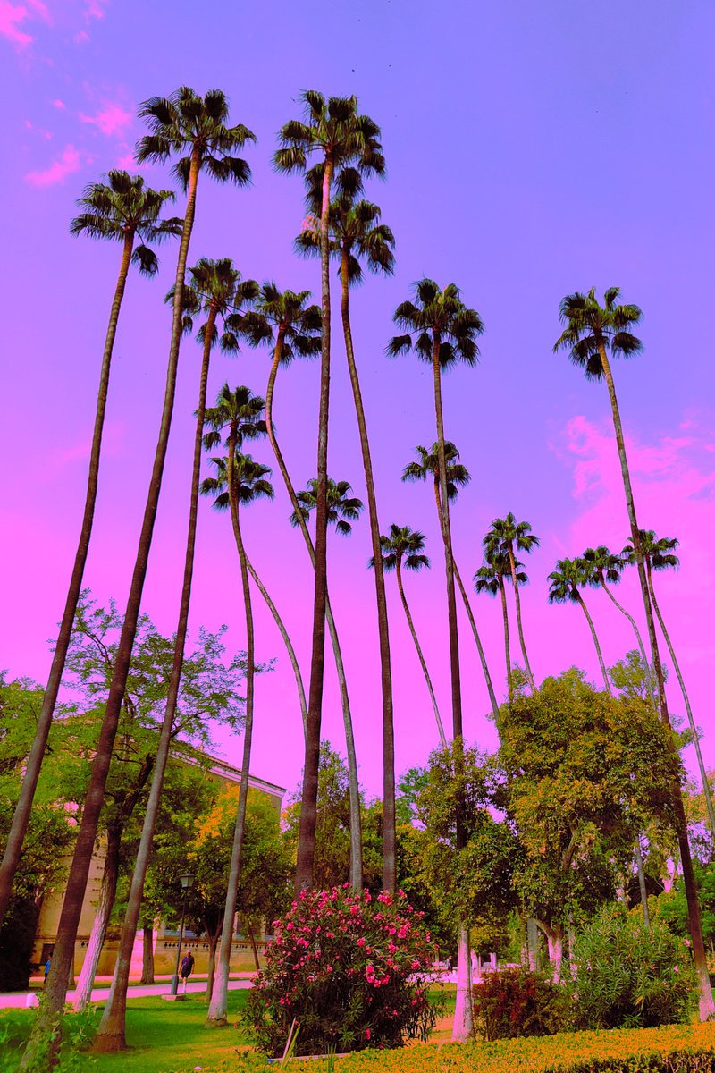 Cityscapes Photograph By Tatiana Zappa, 39 X 59", Higher And Higher, Original Artwork