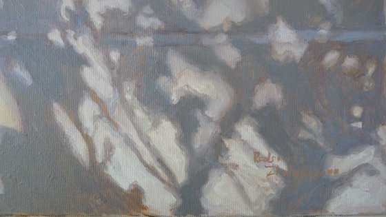 Shadows and Peaches