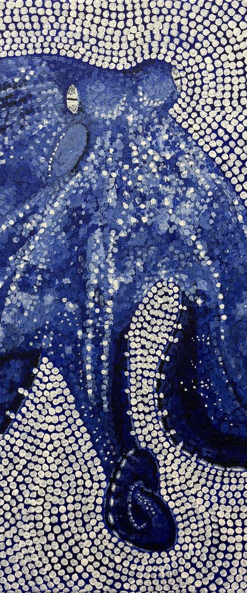 Blue Octopus by Kelsey Emblow