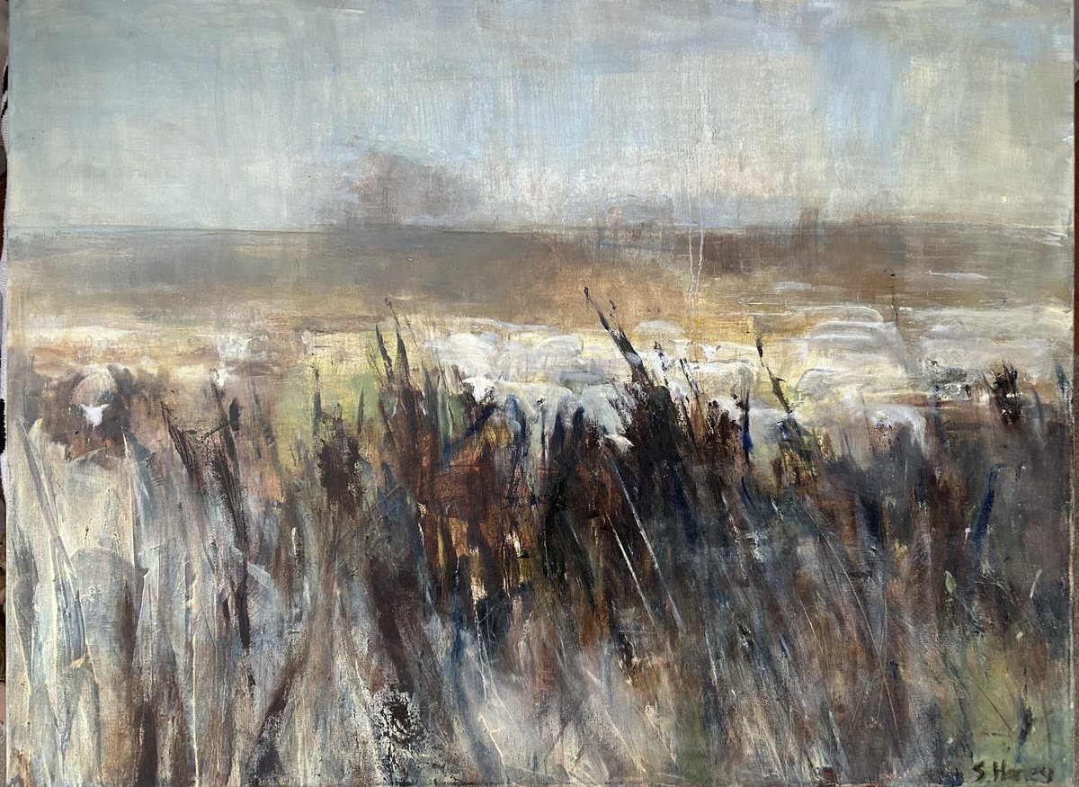 Impressionistic Landscape Oil Painting By Sandra Haney, 31 X 24", Milfield Morning, Original Artwork