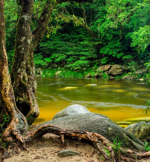 Mossman Gorge by Nick Psomiadis