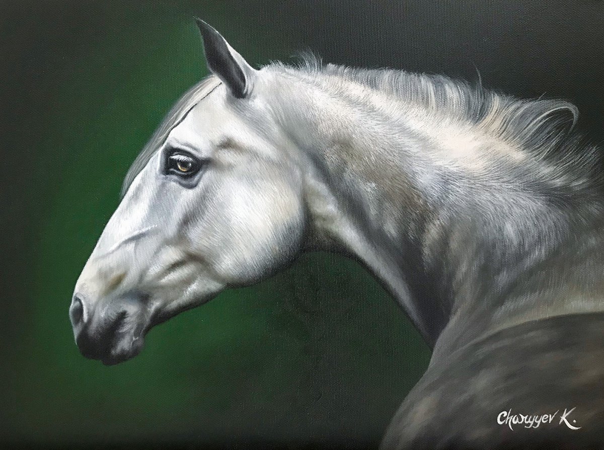 White horse by Kakajan Charyyev