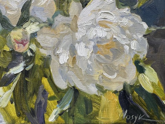Whispers of White Peonies