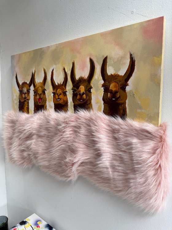 Cozy Alpacas Under One Blanket