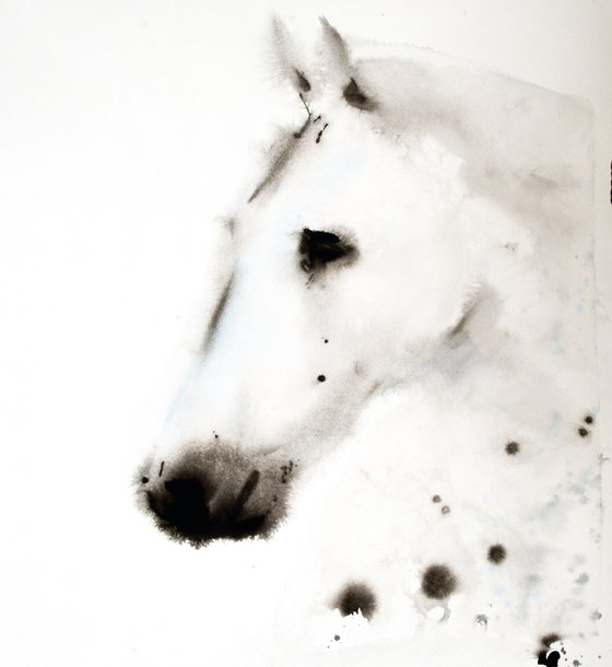 White Horse