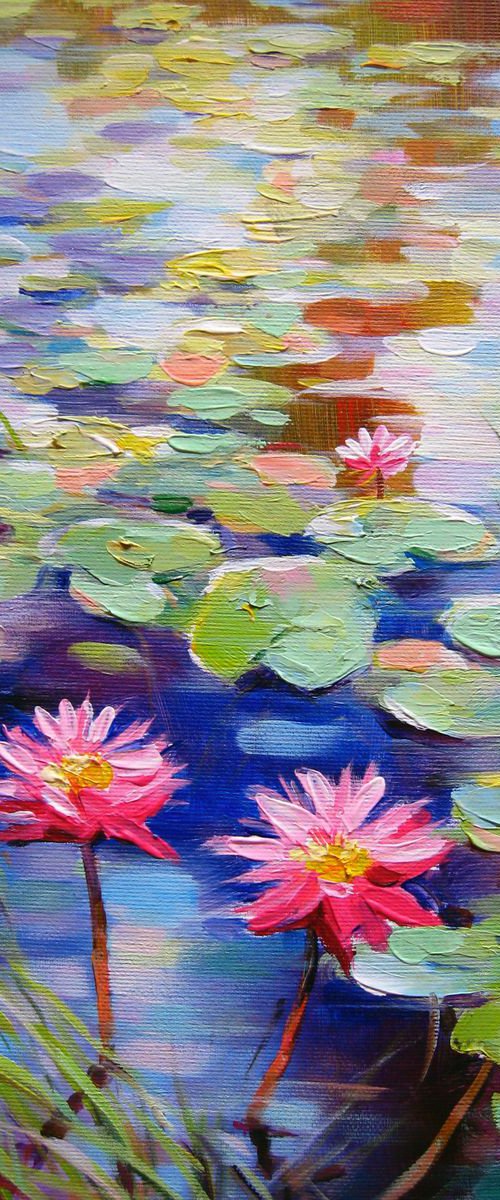 Sketch water lilies by Vladimir Lutsevich
