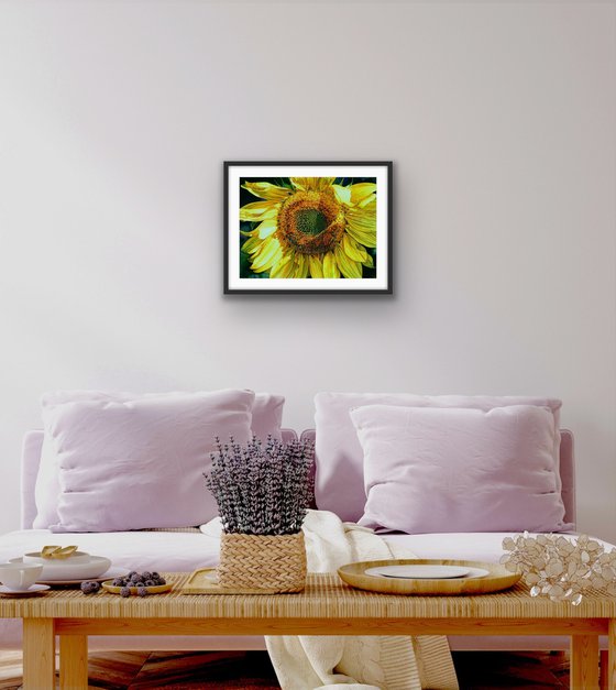 Original Sunflower Painting, Sunbeam on a Sunflower, Floral Wall Art