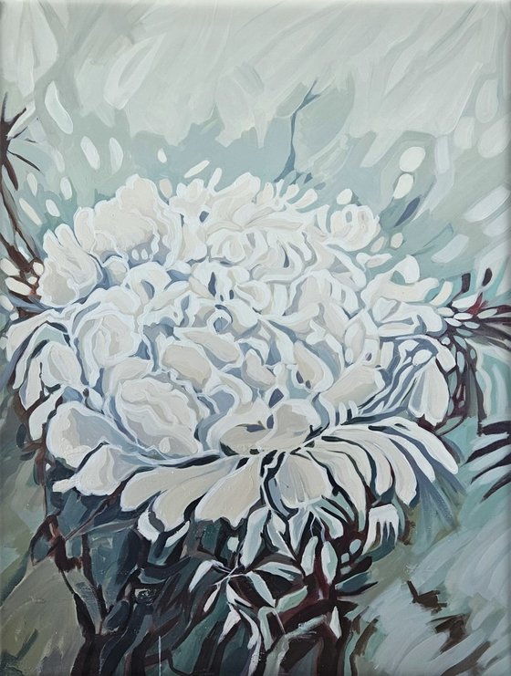 Peonies fter rain #2