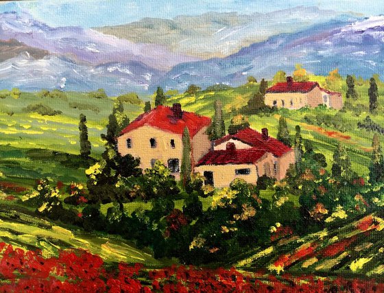 Tuscany poppies