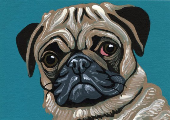 ACEO ATC Original Miniature Painting Fawn Pug Pet Dog Art-Carla Smale