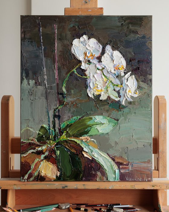 Blooming Orchid