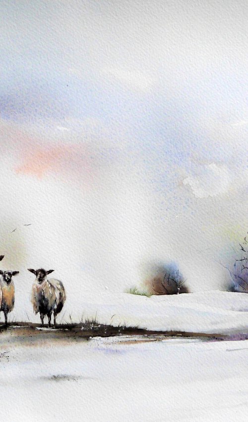 Three Sheep. Original Watercolour Painting. by Graham Kemp