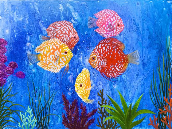 Underwater Life