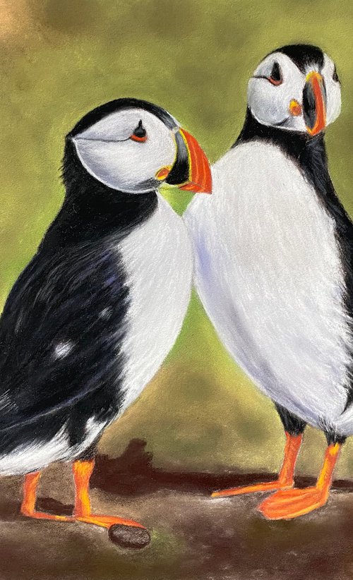 Puffins by Maxine Taylor