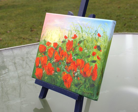 Poppy field in summer 3