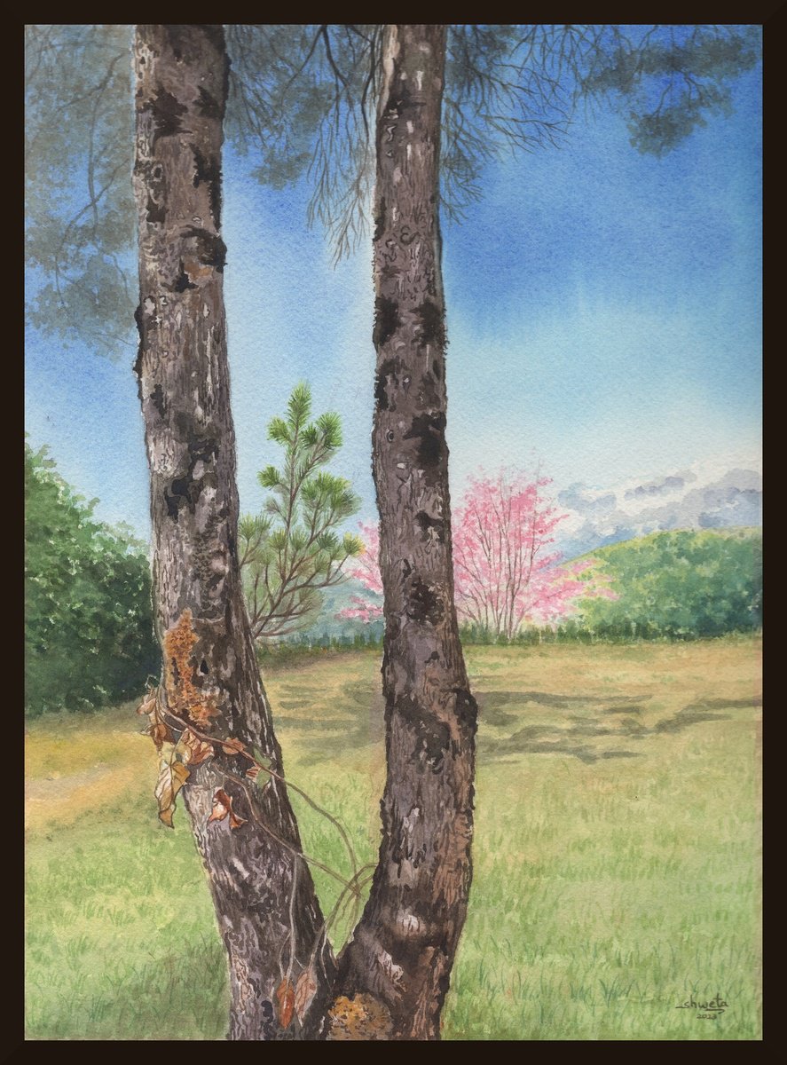 Himalayan Pine Tree watercolor painting by Shweta  Mahajan
