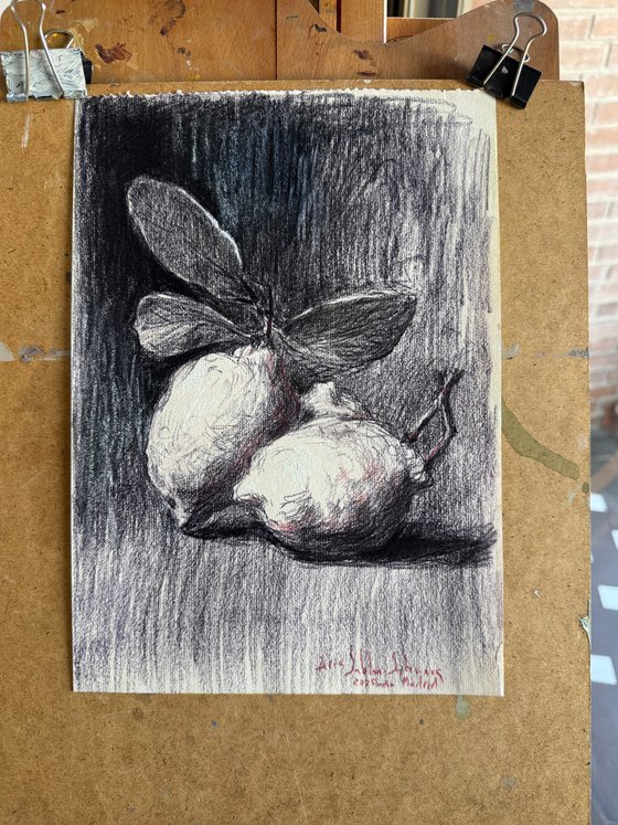 Two Lemons, Quiet Chiaroscuro