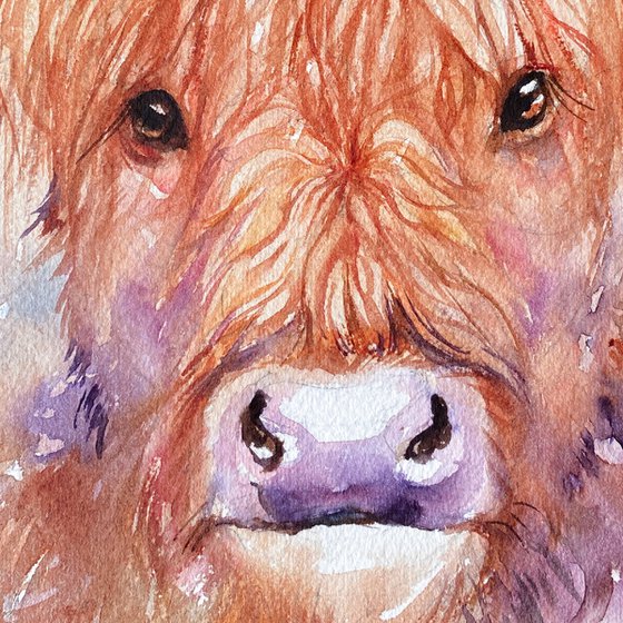 Shaggy Shiloh_Highland Cow