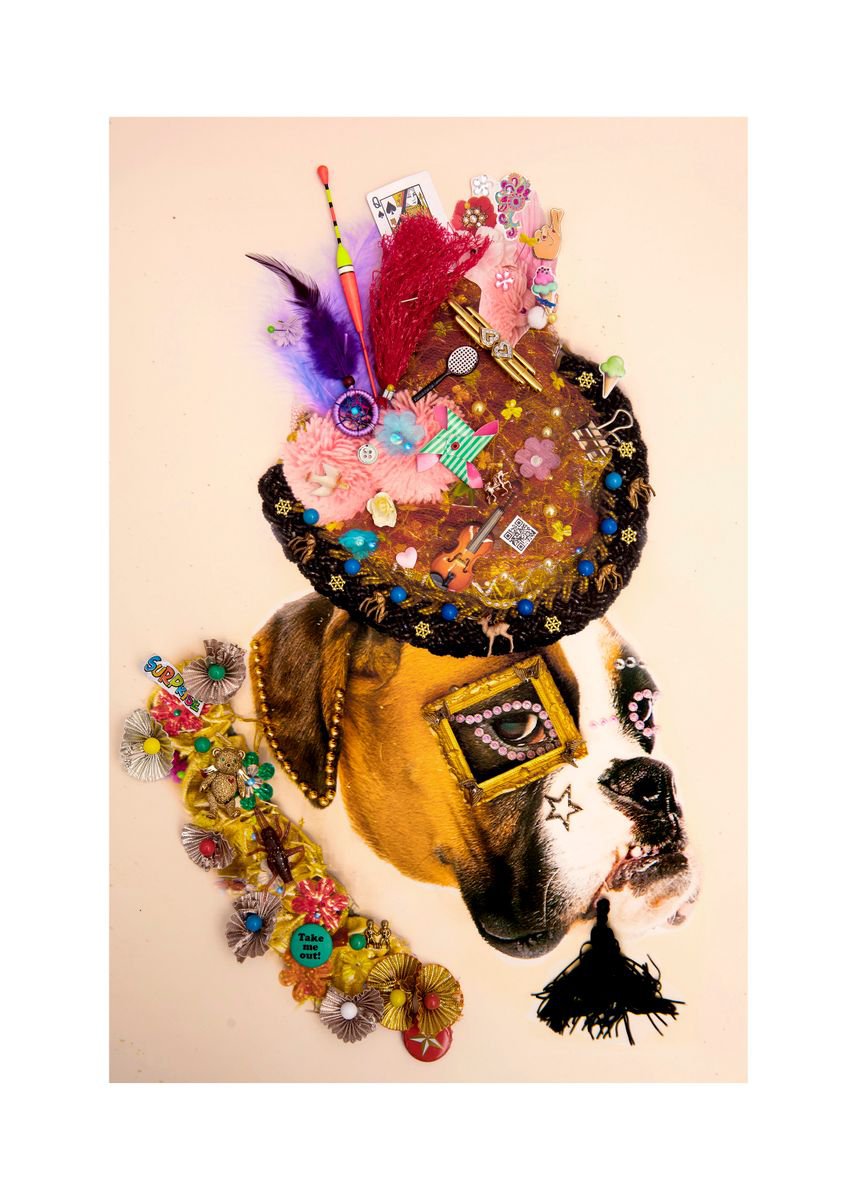 Urban And Pop Animal Photograph By B-Brown & Scheinmann, 22 X 30, Fiddler 1, Original Artwork