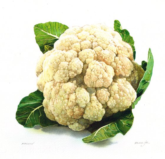 Cauliflower II