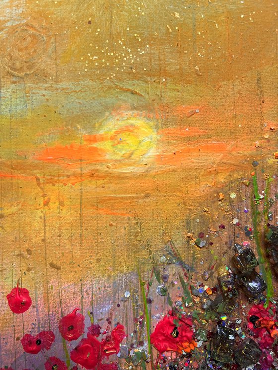 Sunset in the poppy fields