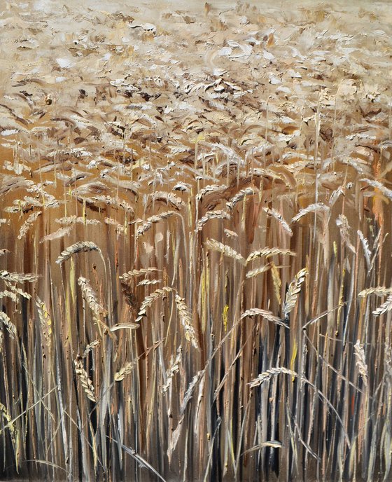 Golden Wheat