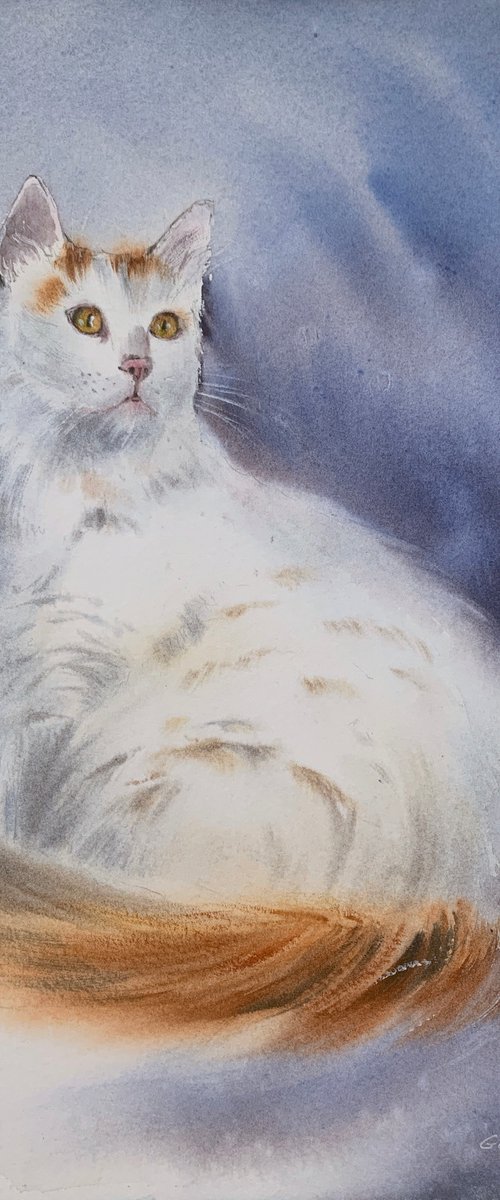 White cat by Eugenia Gorbacheva