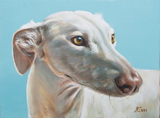 "Golden Gaze" - Greyhound Portrait