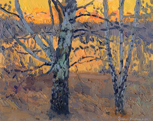 April. Birch sunset by Simon Kozhin