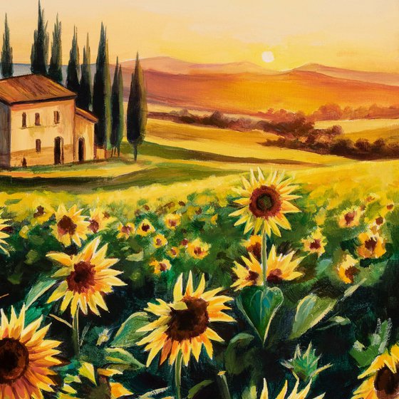 Sunflower field landscape in Tuscany