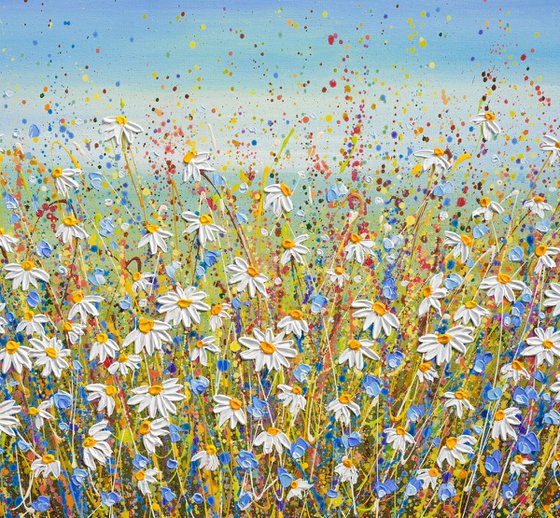 Morning Daisies