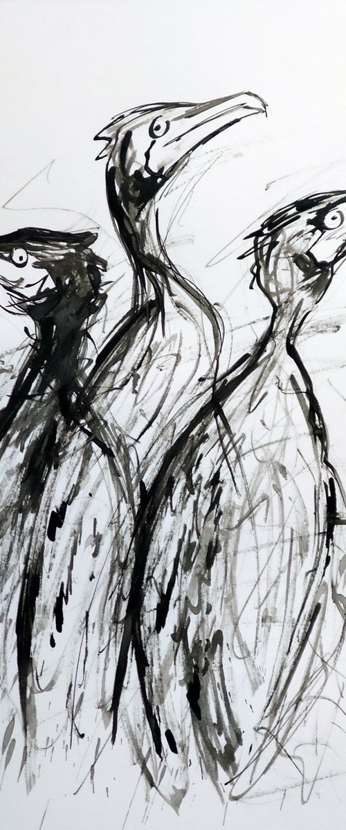 CORMORANS, EXPRESSIVE INK drawing by Lionel Le Jeune