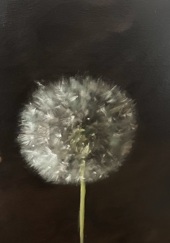 Dandelions