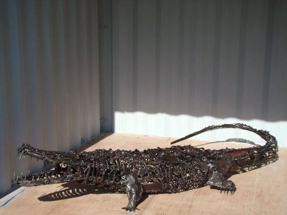 ALLIGATOR (crocodile)